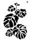 Mobile Preview: Schablone mit großen Pflanzen Blättern DIN A 4