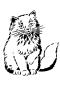 Preview: Schablone mit sitzender Katze DIN A 4