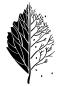 Preview: Schablone Baum mit Zweigen DIN A 4