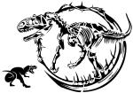 Schablone Drache